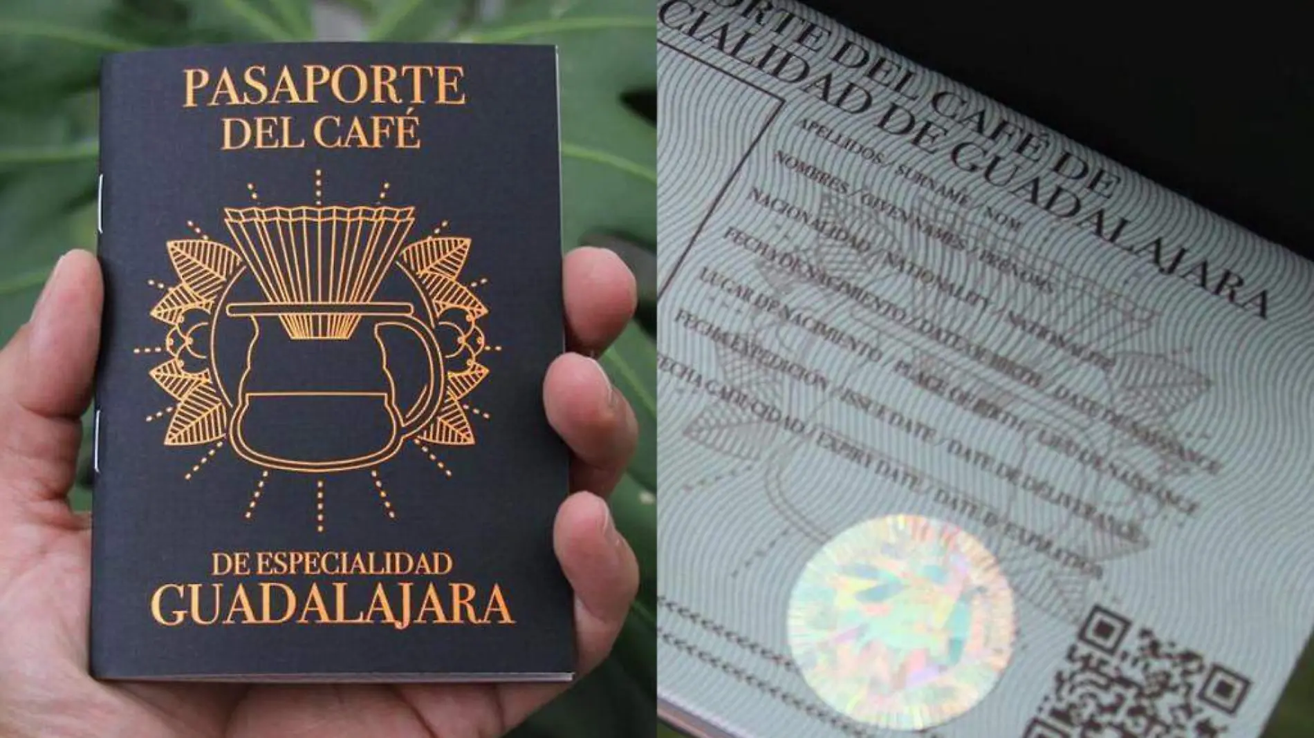 Pasaporte de café Foto. Historias de Malta